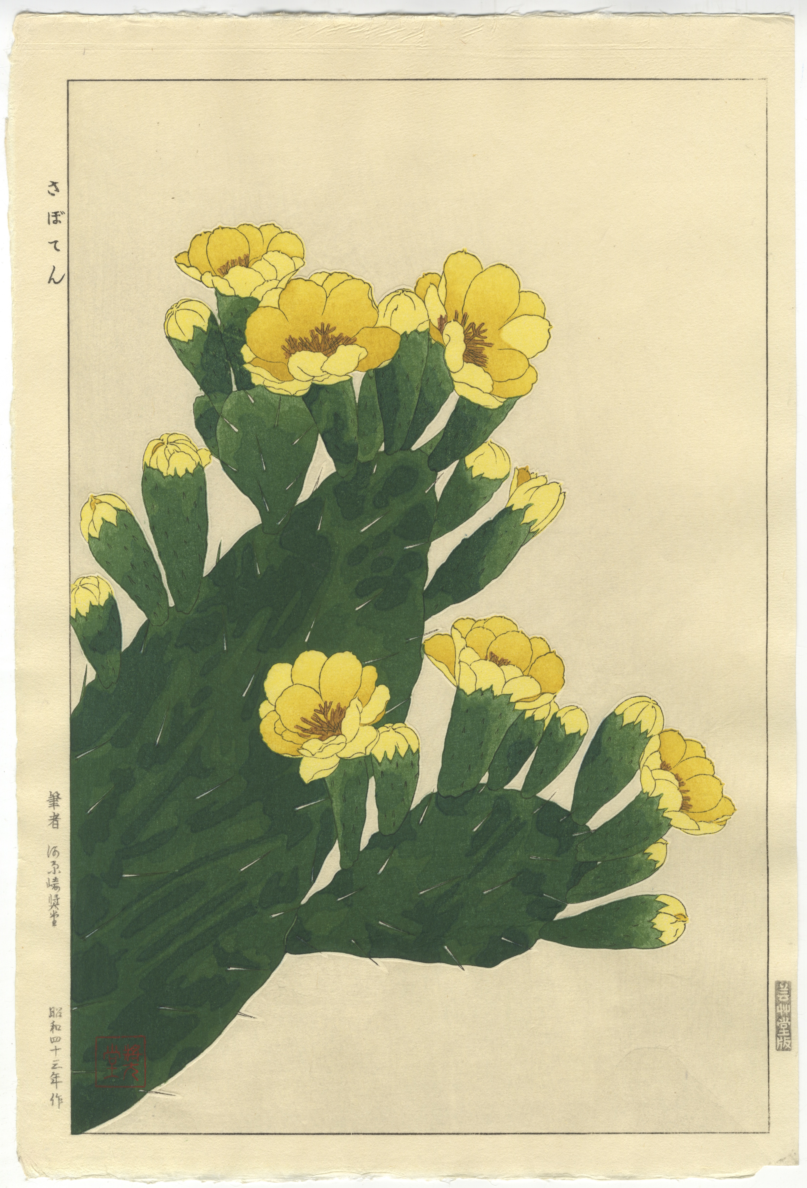 Shodo Kawarazaki, Cactus, Original Japanese Woodblock Print