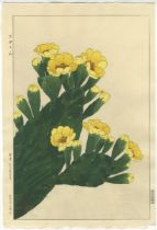 Shodo Kawarazaki, Cactus, Original Japanese Woodblock Print