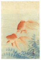 Shoson Ohara, Goldfish, Original Japanese Woodblock Print