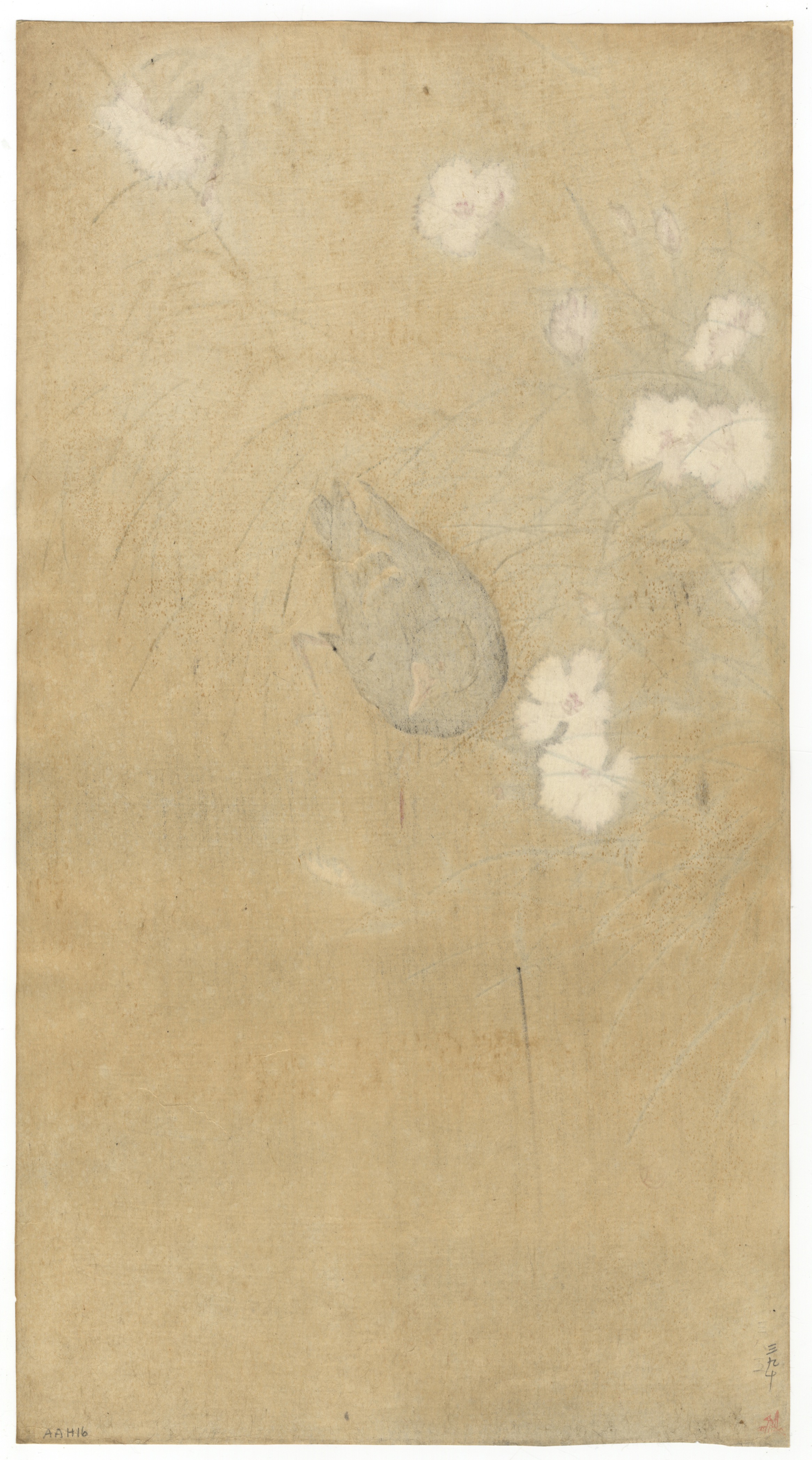  Koson Ohara, Gallinule, Original Japanese Woodblock Print - Image 2 of 2