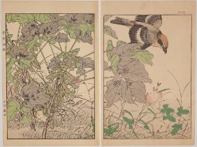 Keinen Imao, Shrike, Original Japanese Woodblock Print