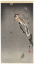 Koson, Bird And Spider, Original Japanese Woodblock Print