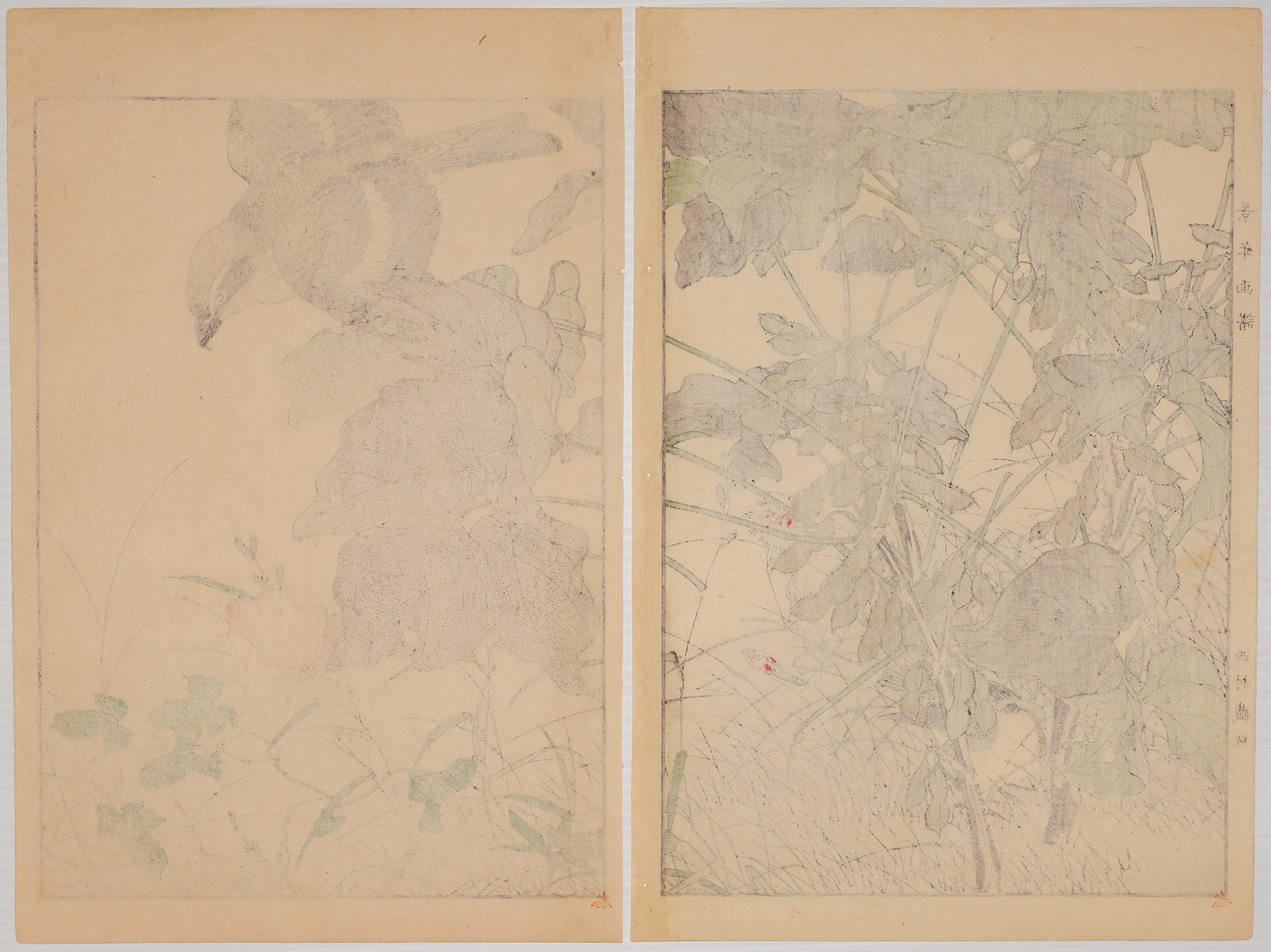Keinen Imao, Shrike, Original Japanese Woodblock Print - Image 2 of 2