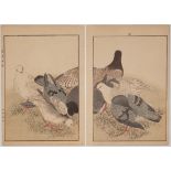 Keinen Imao, Pigeons, Original Japanese Woodblock Print