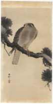 Ohara Koson, Goshawk, Pine, Original Japanese Woodblock Print