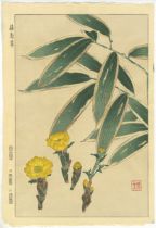 Shodo Kawarazaki, Adonis Ramosa, Original Japanese Woodblock Print
