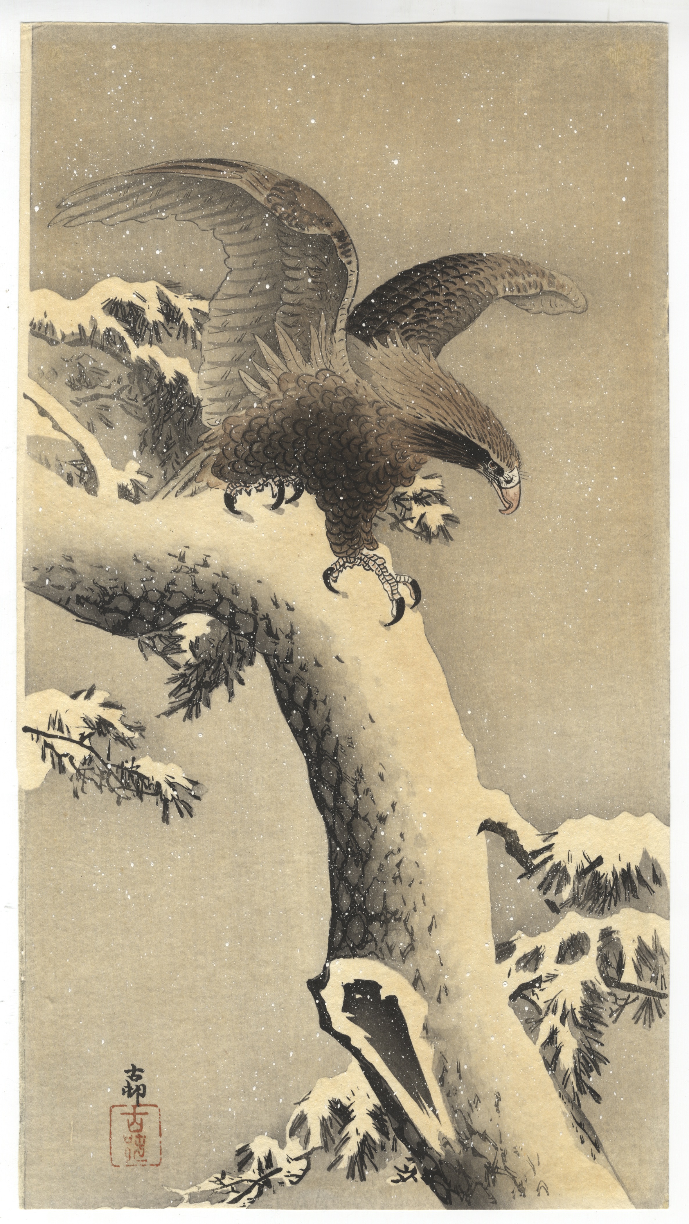 Koson, Eagle, Snowy Pine, Original Japanese Woodblock Print