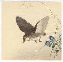 Koson, Quail and Chrysanthemums, Original Japanese Woodblock Print