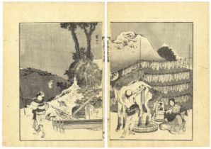 Hokusai, Manga, Original Japanese Woodblock Print