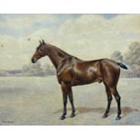 Frank Paton (1855-1909) - 'Waterford' Portrait of a standing horse, signed and dated 1899,