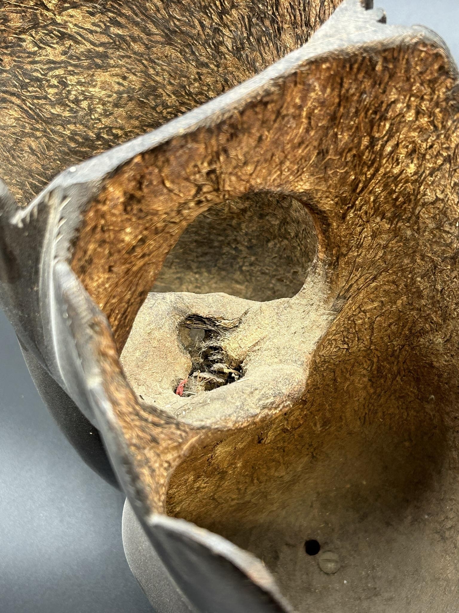 Good coco de mere nut converted into a twin vessel vase, 31 x 11cm - Image 2 of 2