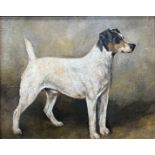 John Emms (1844-1912) - 'Charlie' Portrait of a standing Jack Russell Terrier, unsigned, titled