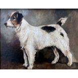 John Emms (1844-1912) - Portrait of a standing Jack Russell Terrier, unsigned, oil on board, 16.5