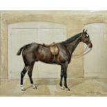 Frank Paton (1855-1909) -Portrait of a standing Show Hunter horse, signed and dated 1898,