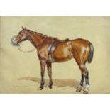 Frank Paton (1855-1909) - Portrait of a standing Chestnut Horse, signed and dated 1890,