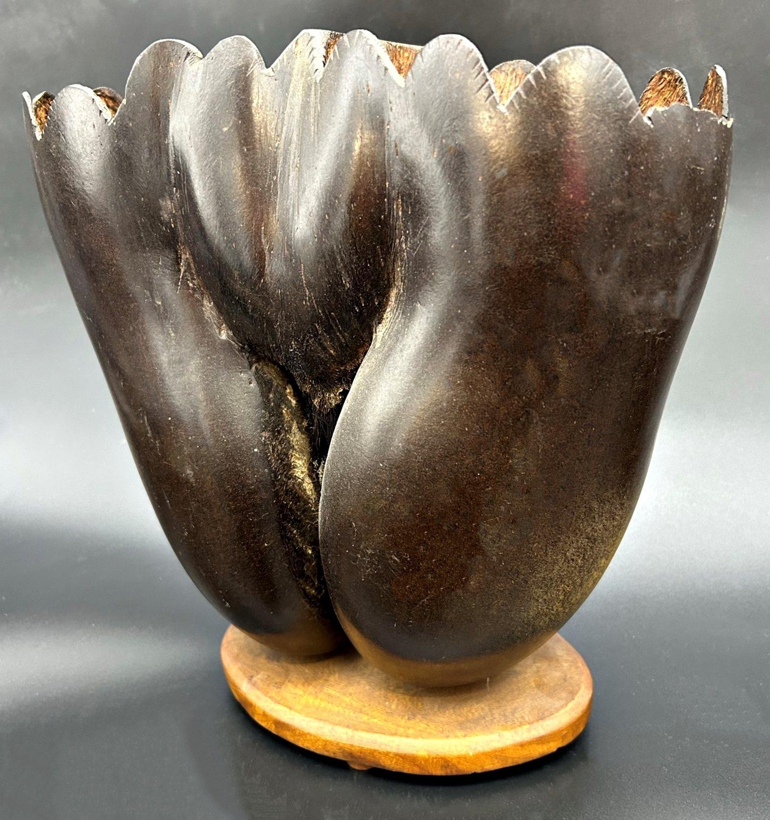 Good coco de mere nut converted into a twin vessel vase, 31 x 11cm