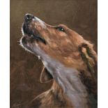 John Silver (born 1959) - bust portrait of a foxhound, signed and dated '21, oil on board, 25 x