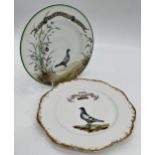 Pair of Belgian porcelain hand painted pigeon trophy plates one marked DFB, 24cm diameter