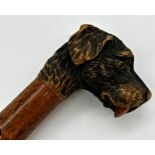 Good carved hound head with tongue bamboo shafted parasol, 60cm long