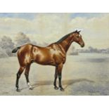 Frank Paton (1855-1909) - 'Sequah' Portrait of a standing horse, signed and dated 1899, watercolour,