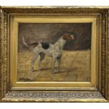 Geoffrey Douglas Giles (1857-1941) - Portrait of a standing foxhound, signed, oil on board, 26 x