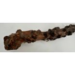 Good antique hawthorn root walking stick, 89cm long