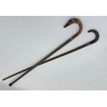 A horn handled, silver collard bamboo walking cane together with a further crook handle dog headed