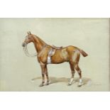 Frank Paton (1855-1909) - Portrait of a standing Chestnut Gelding horse, signed and dated 1896,