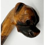 19th century fruitwood carved boxer dog walking stick, with inset glass eyes, 85cm long