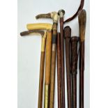 Collection of riding whips and crops to include four plaited leather examples (8)