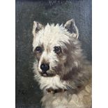 19th century school - bust portrait of a terrier, monogrammed JC, oil on board, 21 x 14.5cm,