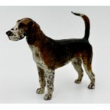 Probably by Franz Bergman - Austrian cold painted bronze of a standing foxhound, marked 'Geschutzt',