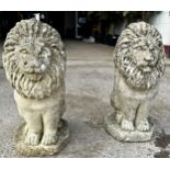 Good pair of reconstituted stone seated lions, 53cm high