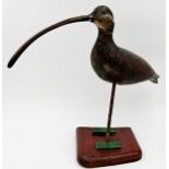Guy Taplin (b. 1939) - Curlew, signed to base, painted wooden carving on stand, 43cm high x 65cm