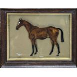 Timothy B Whity (19th/20th century) - 'Scamp' portrait of a standing horse, signed and dated 1920,