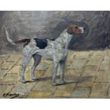 Geoffrey Douglas Giles (1857-1941) - Portrait of a standing foxhound, signed, oil on board, 26 x