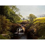 Michael James Smith (b. 1976) - 'Pistyll Rhaeadr Waterfall Walk, Wales', signed, titled verso, oil