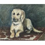 19th century school - portrait of a recumbent terrier, unsigned, watercolour, 44.5 x 59cm,