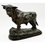 Cast bronze figure of a standing highland bull, 20cm x 24cm.