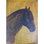 Early 20th century school - bust portrait of a pony, monogrammed WH and dated 1901, oil on canvas,