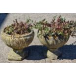 A pair of weathered cast reconstituted garden urns with circular lobed bowls, 33 x 36cm (2)