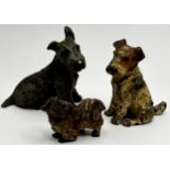 Probably by Franz Bergman - Austrian cold painted bronze studies of three terriers, 5.5, 5 and 2.5cm