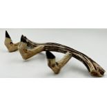 Taxidermy - a three deer hoof coat rack set into a horn, 47cm long