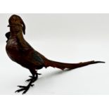 Good quality Franz Bergman Austrian cold painted bronze of a Golden Pheasant, with Bergman stamp