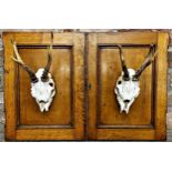 Taxidermy - pair of partial mounted roe deer skulls, 44cm h x 33.5cm w x 23cm d