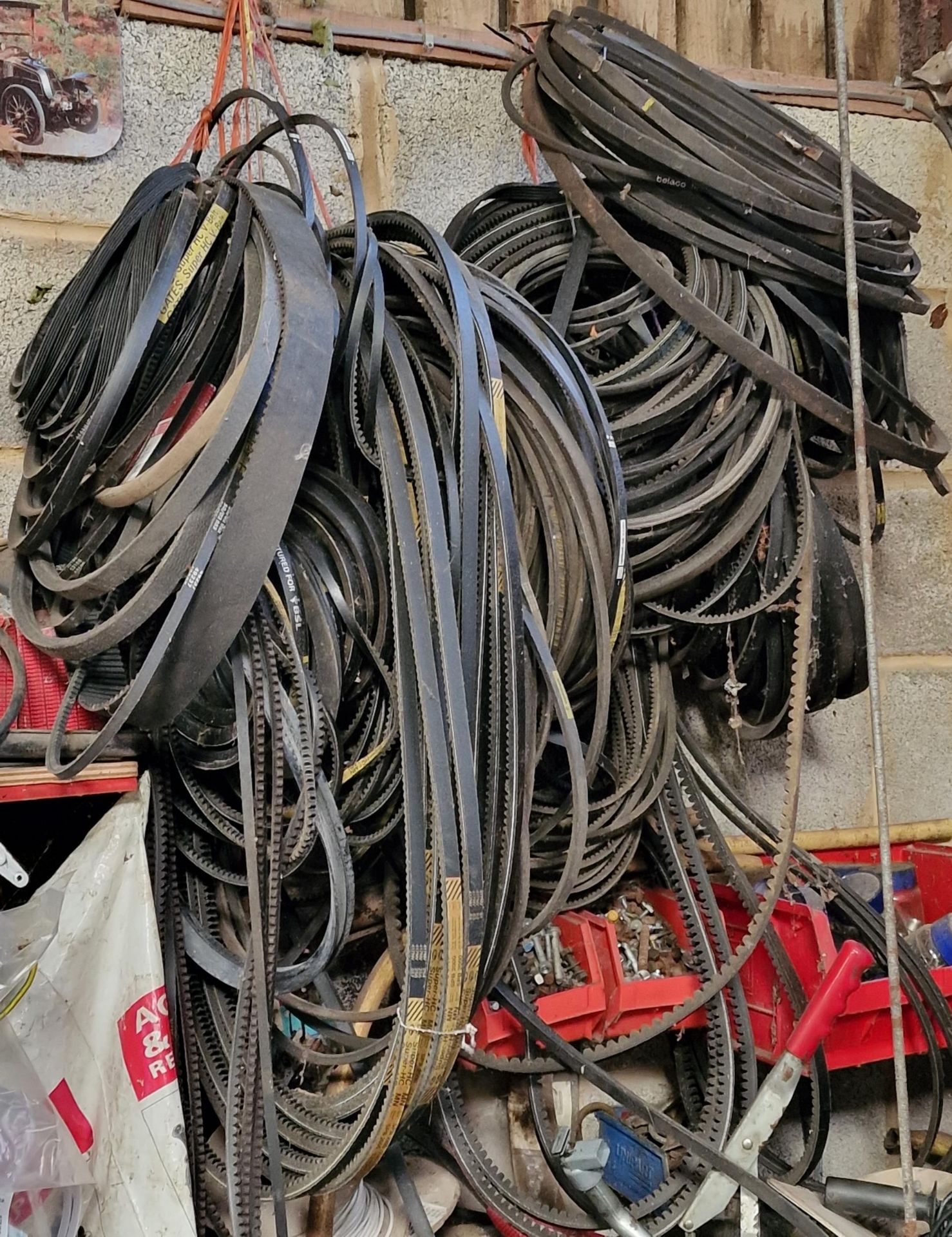 Large collection of V belts, various sizes