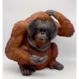 Resin model of an Orangutan, 39cm high