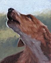 John Silver (b.1959) - bust portrait of a hound scenting the air, signed and dated (20)19, oil on