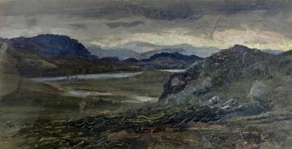 Thomas Hope McLachlan (1845-1897) - 'Glen Torridon, Ross' inscribed label verso, oil on panel, 17