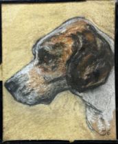 Early 20th century school - Bust portrait of a Foxhound, monogrammed DE, pastel, 17 x 14.5cm, glazed